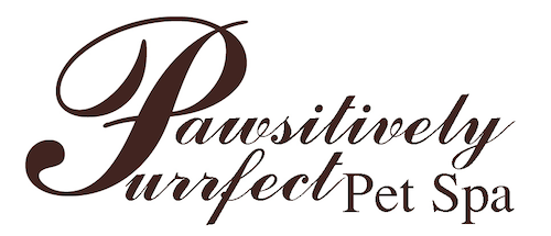 Pawsitive_Logo