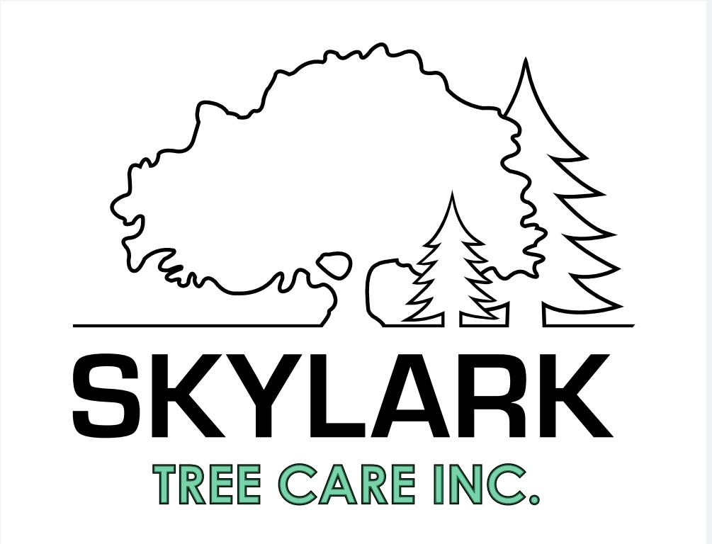 skylark-tree-logo