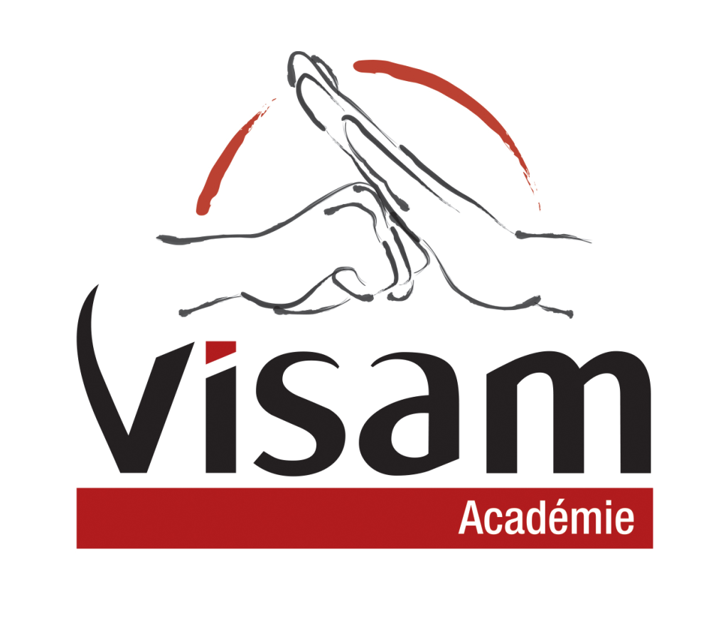 LogoVisam