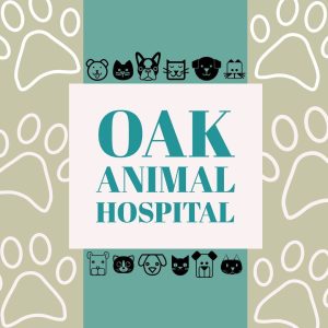 Oak Animal Hospital