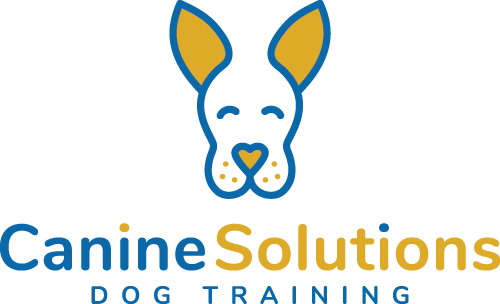 canine-solutions-dog-training