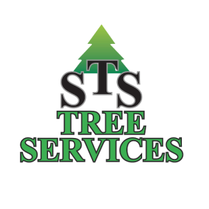 STS Tree Services