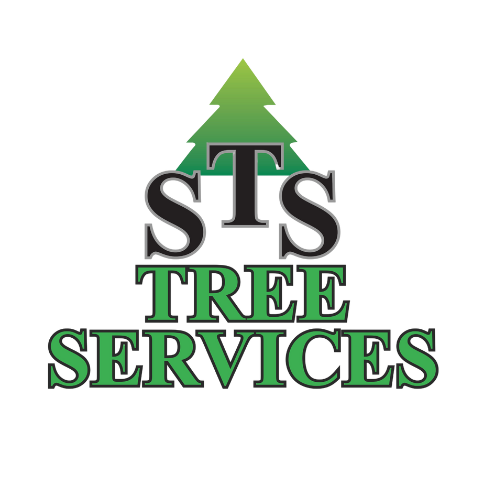 STS-Tree-Services