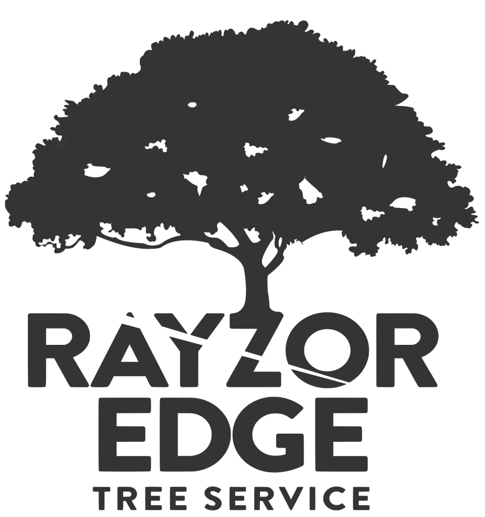 Rayzor-Edge-logo