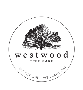 Westwood Tree Care