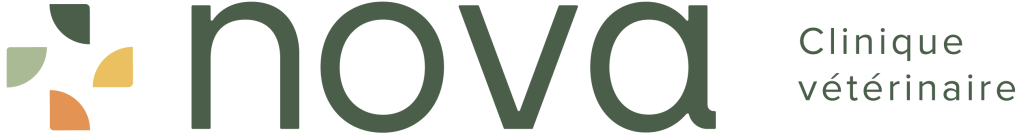 Logotype_Complet_Couleurs_Foncé-2
