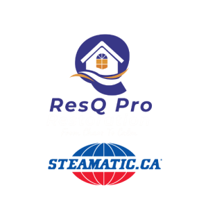 ResQ Pro Restoration